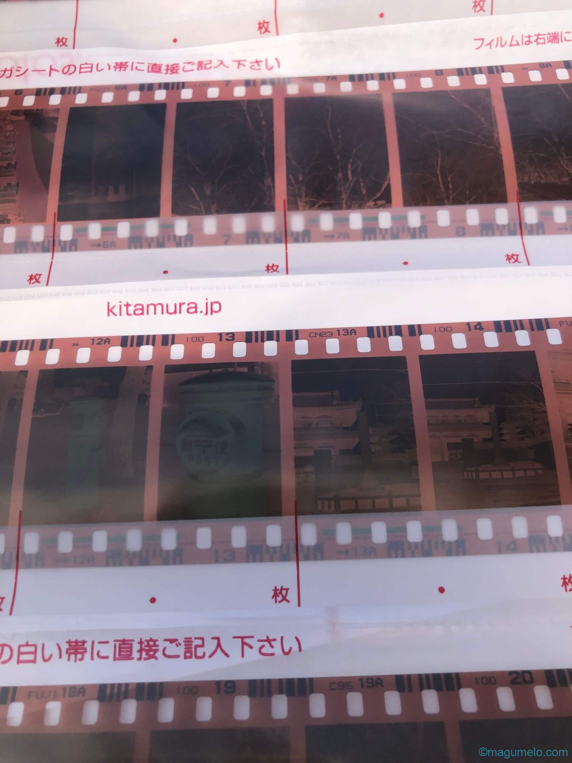 現像 film scaled - 現像