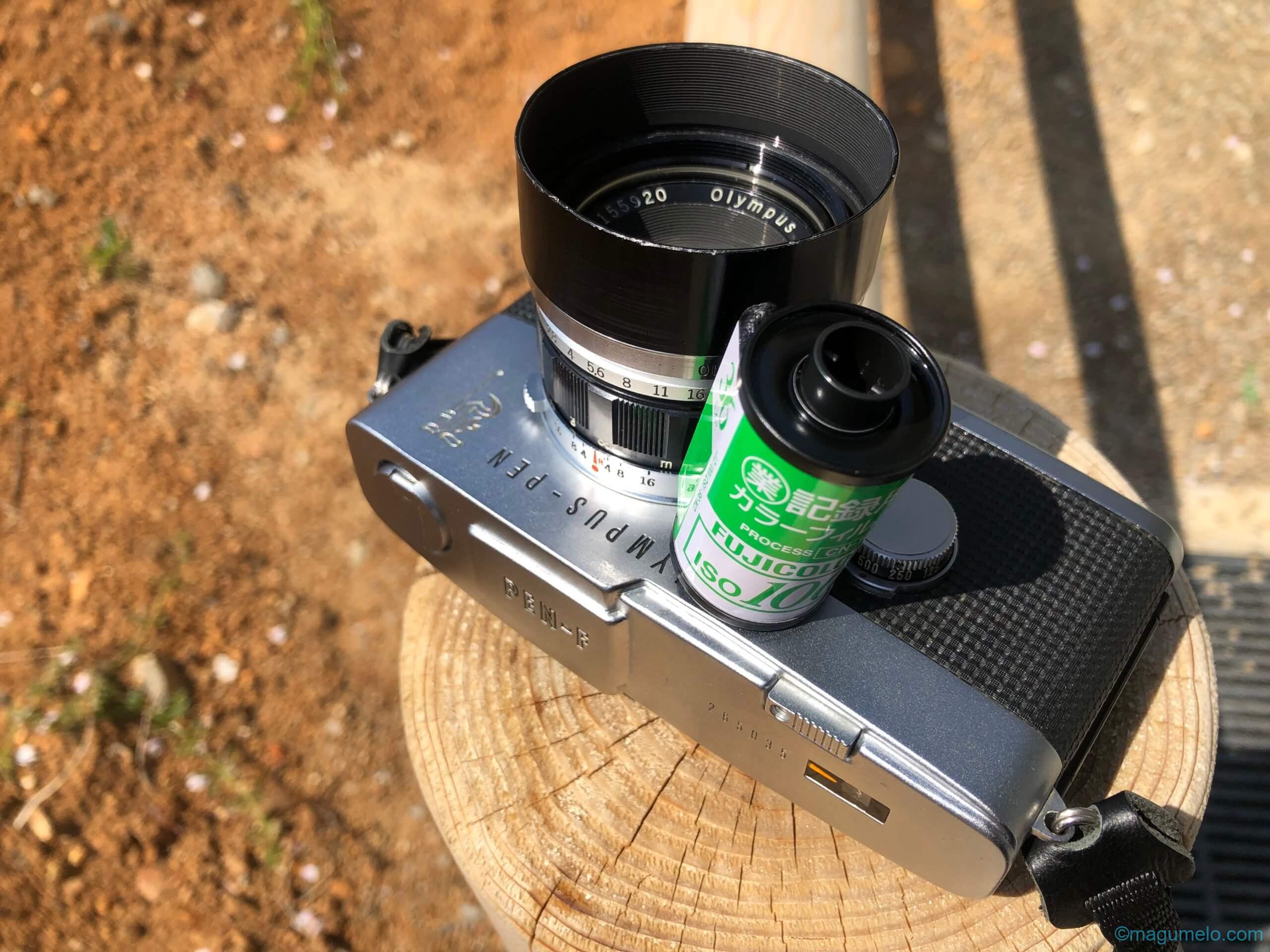 やっと1本 komaki2 scaled - やっと1本