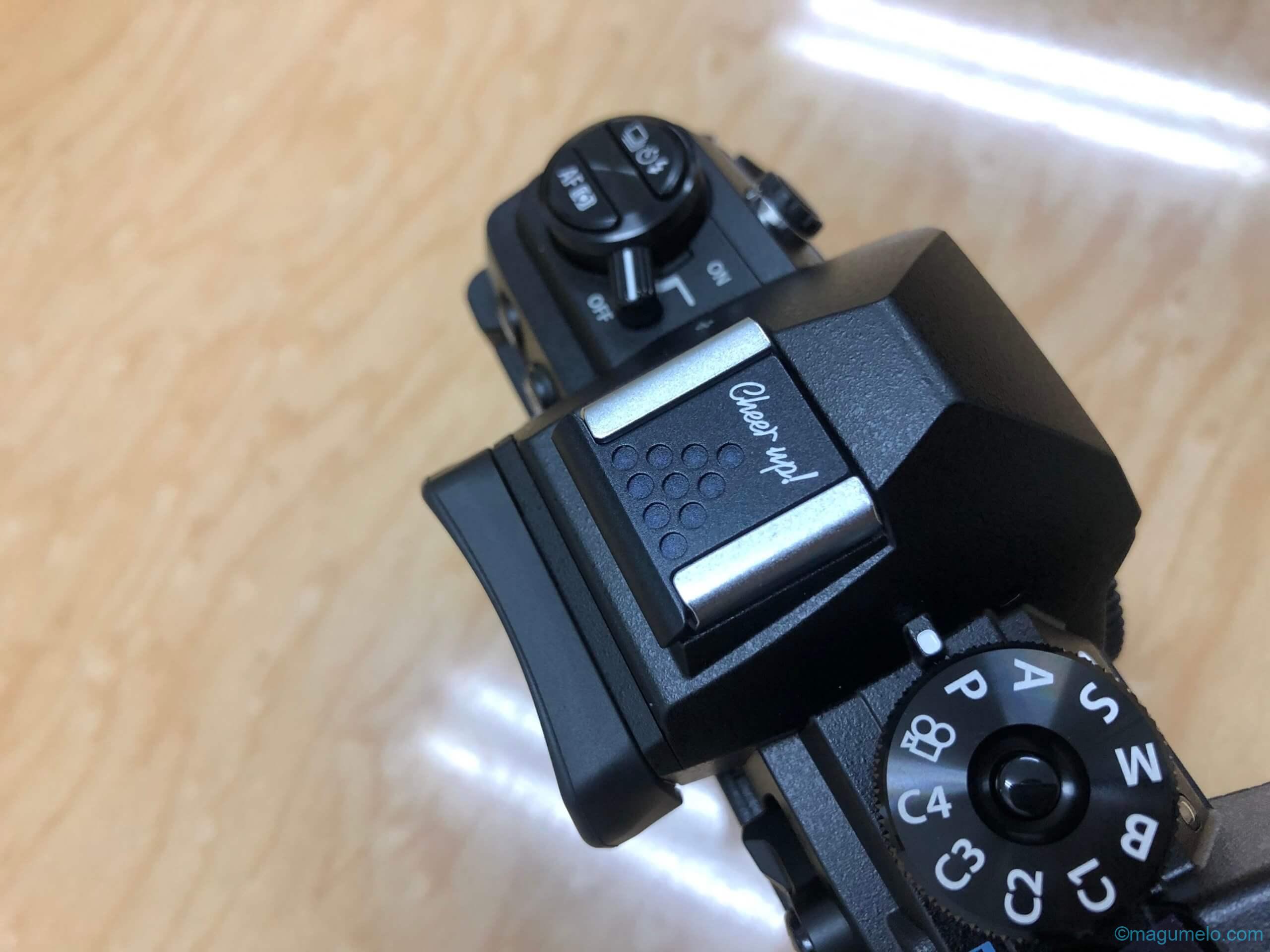 ふと比較 IMG 9151 scaled - ふと比較