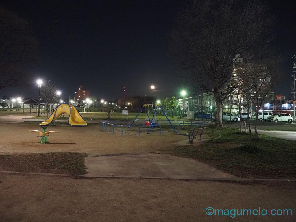 夜の試写 IMG 9319 1024x768 - 夜の試写