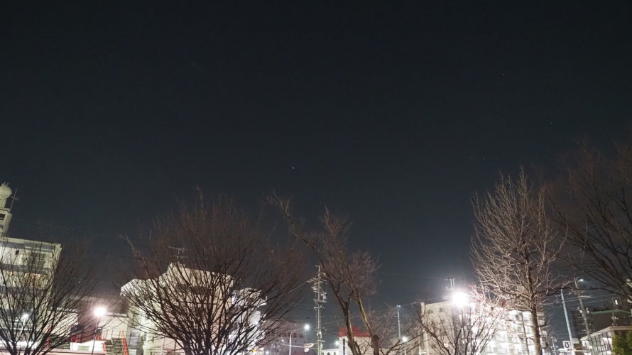 夜の試写