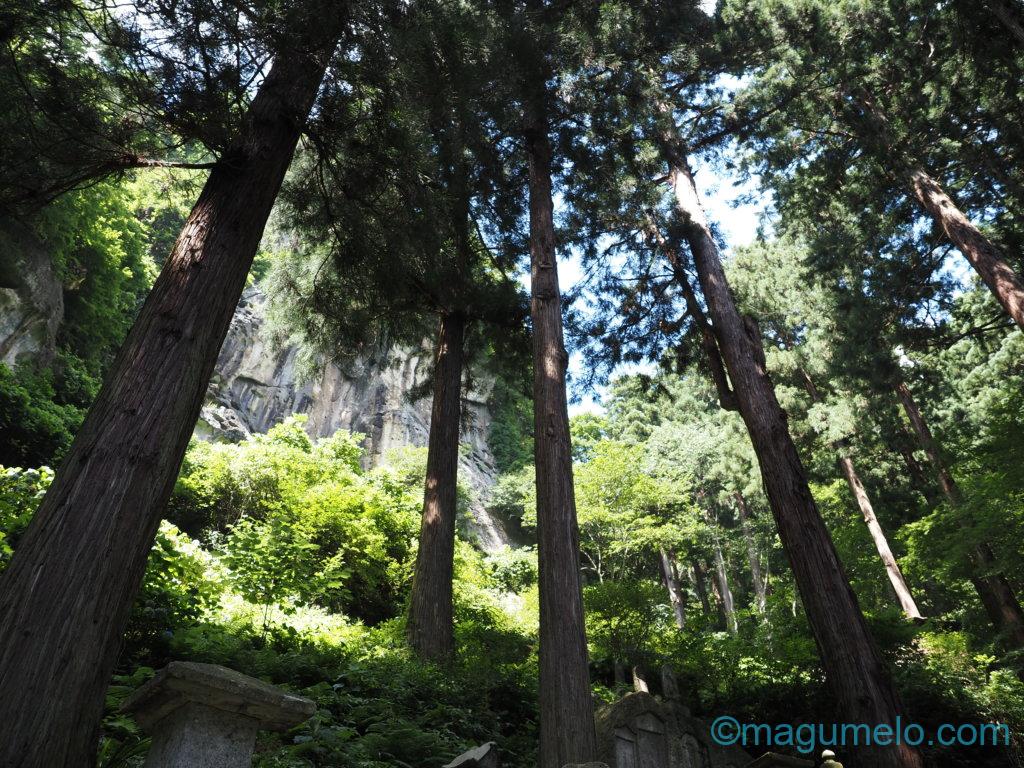 いかがお過ごしでしょうか。 P8110444 1024x768 - いかがお過ごしでしょうか。