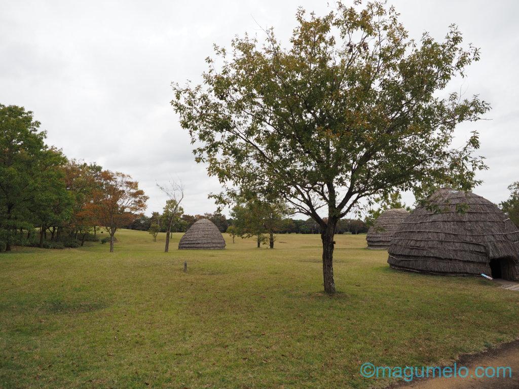 いかがお過ごしでしょうか。 PB061728 1024x768 - いかがお過ごしでしょうか。