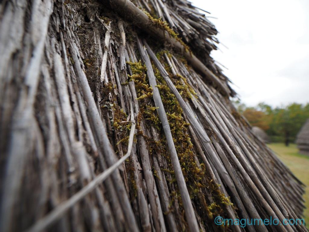 いかがお過ごしでしょうか。 PB061763 1024x768 - いかがお過ごしでしょうか。