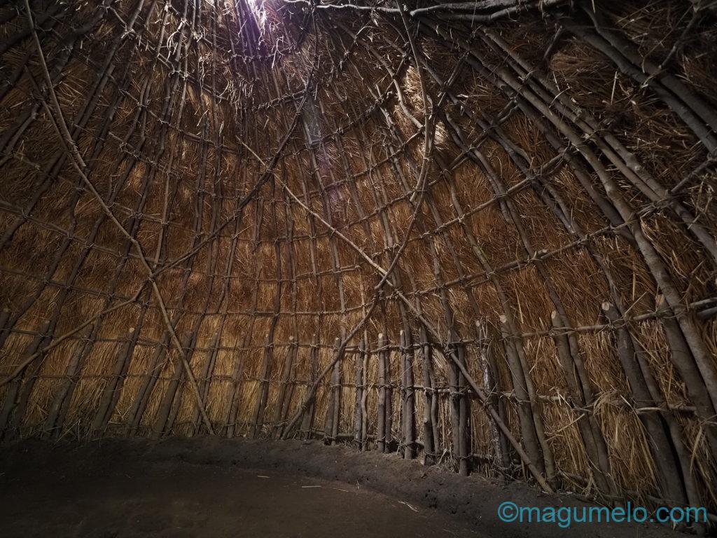 いかがお過ごしでしょうか。 PB061770 1024x768 - いかがお過ごしでしょうか。