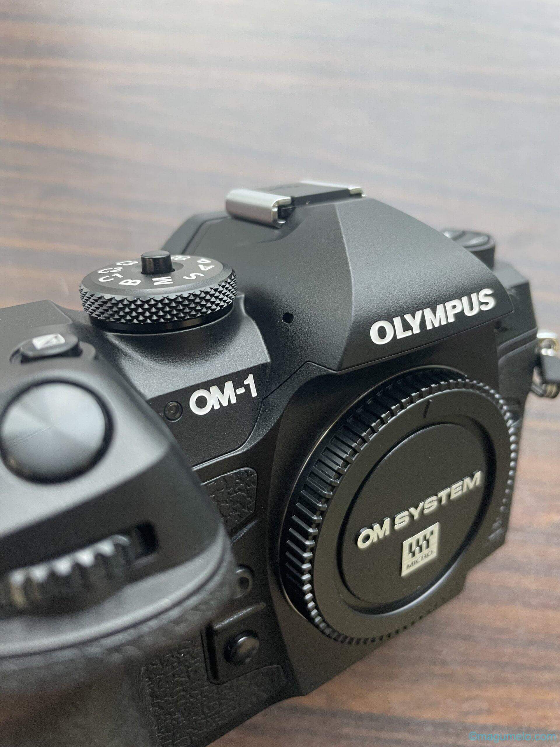 OM SYSTEM OM-1届きました。 748A4D4E CA80 4645 9CC6 CBD5A8971D9A scaled - OM SYSTEM OM-1届きました。