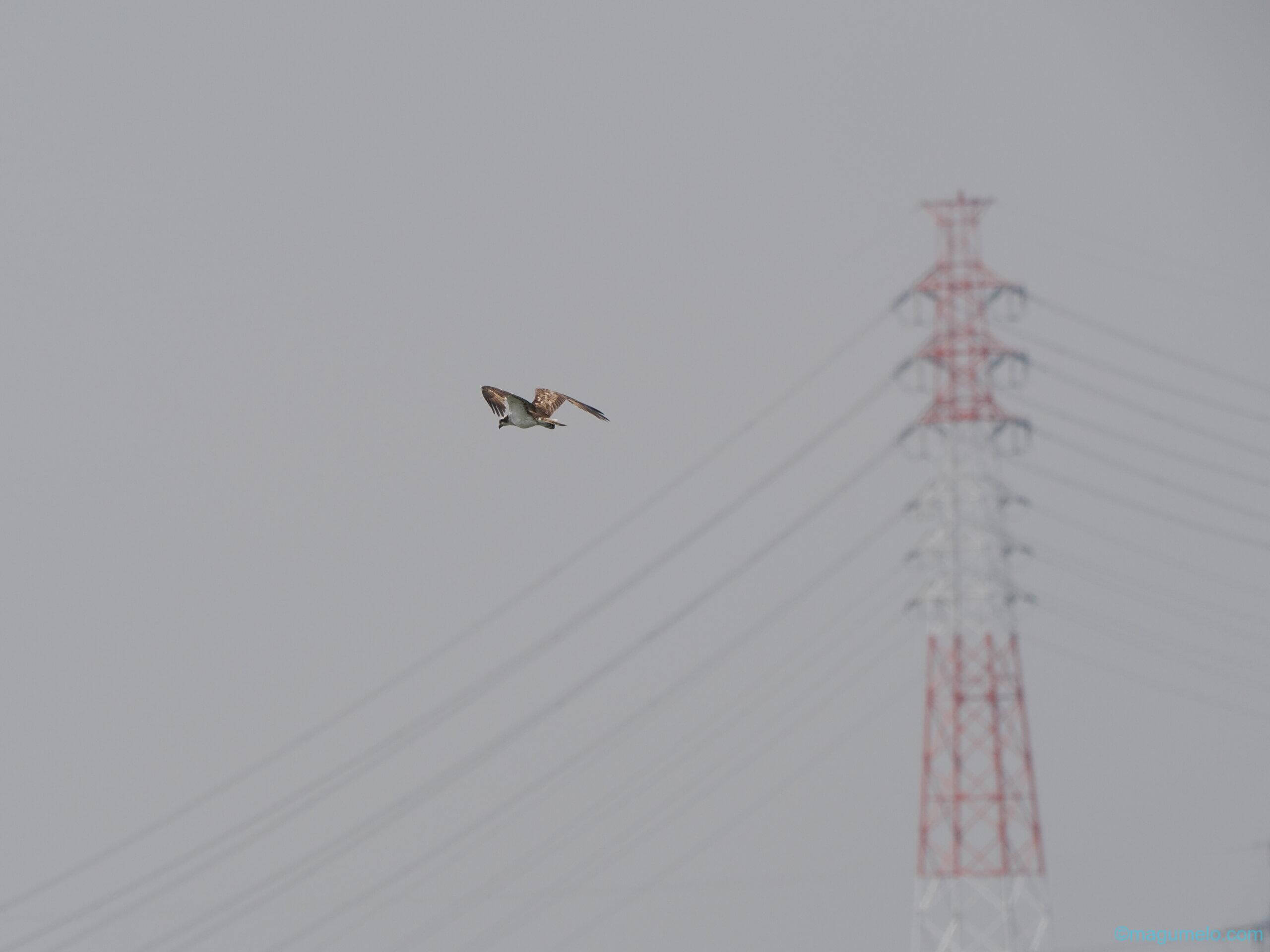 レンズ貸出サービス P4286287 scaled - レンズ貸出サービス